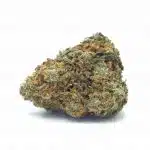 Blueberry Strain