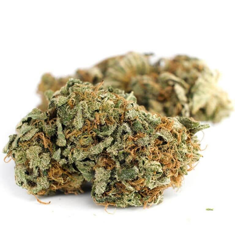 Haze Strain strain art