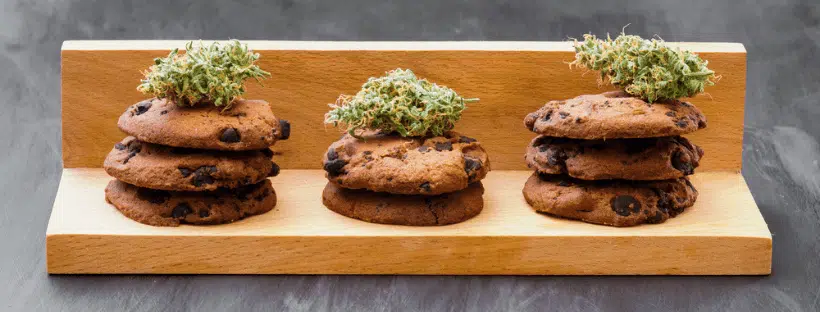 Calories in Cannabis Edibles