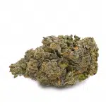 Jungle Cake