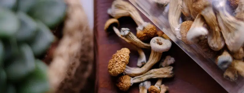 Fruiting
