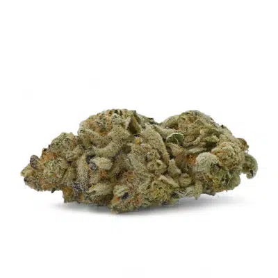 Mendo Breath - Thunder Buddies