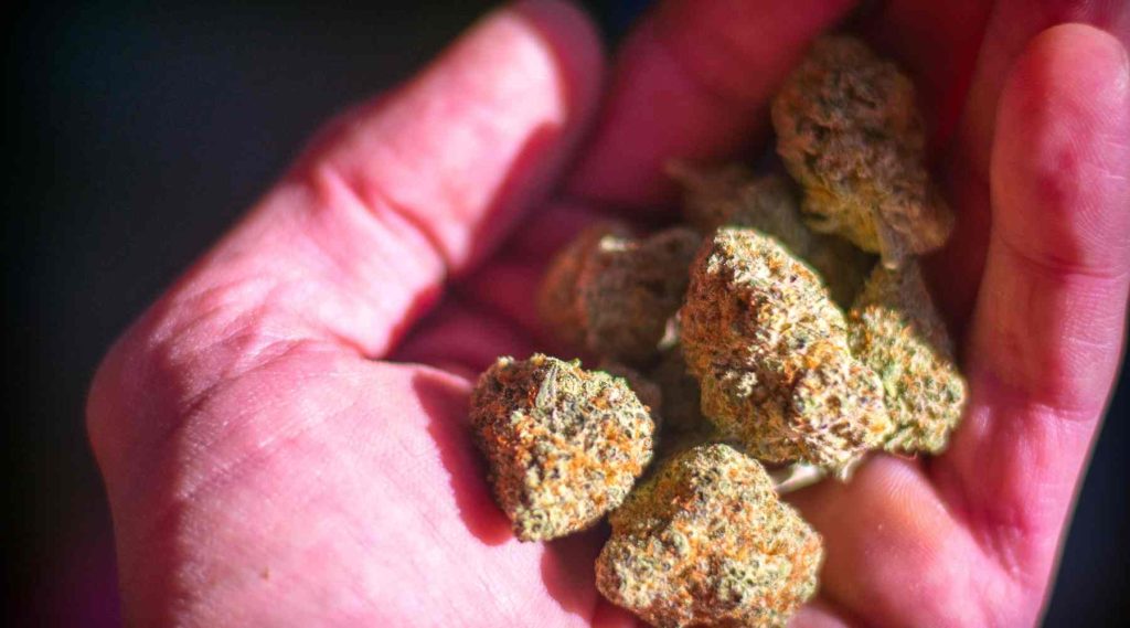 Why Don’t Edibles Get Me High? (14 Most Likely Causes)
