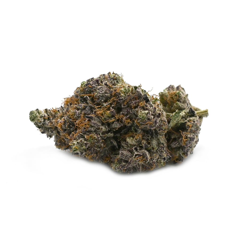 Tropical Cherry- Thunder Buddies