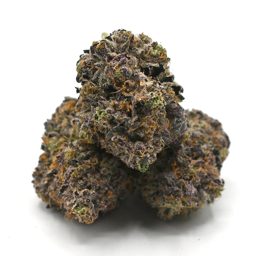 Tropical Cherry- Thunder Buddies - Image 2