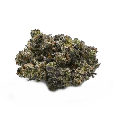 Black Truffle
