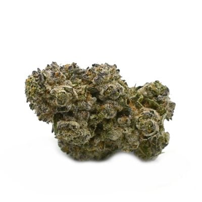 Biscotti - Popeyes Ganja Bags