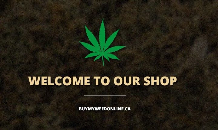 buy weed online
