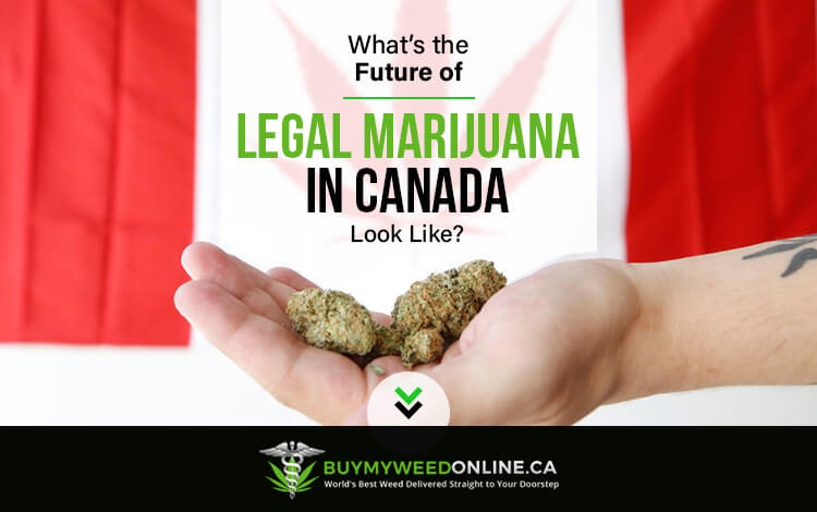 Legal Marijuana in Canada