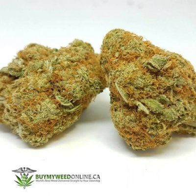 Strawberry Crush cannabis strain