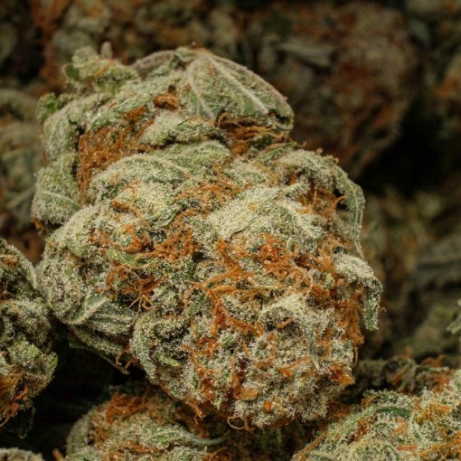 Blue Cheese (AAAAA)