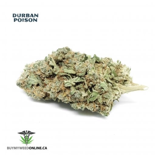 Durban Poison (AAAAA)