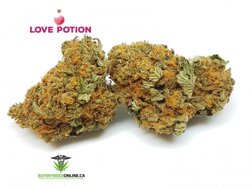 Love Potion #9 (AAAA)