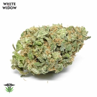 white widow strain - Sativa Dominant Hybrid