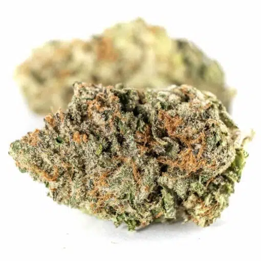 Tom Ford Pink Kush - Image 4