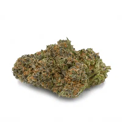 Purple God - Indica Dominant Hybrid strain