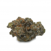 Purple Haze - Sativa Dominant Hybrid strain