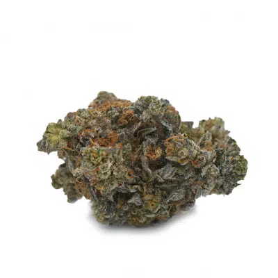 Purple Haze - Sativa Dominant Hybrid strain