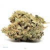 Premium Master Kush Strain