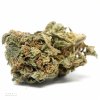 Lamb's Breath - Sativa Dominant Hybrid