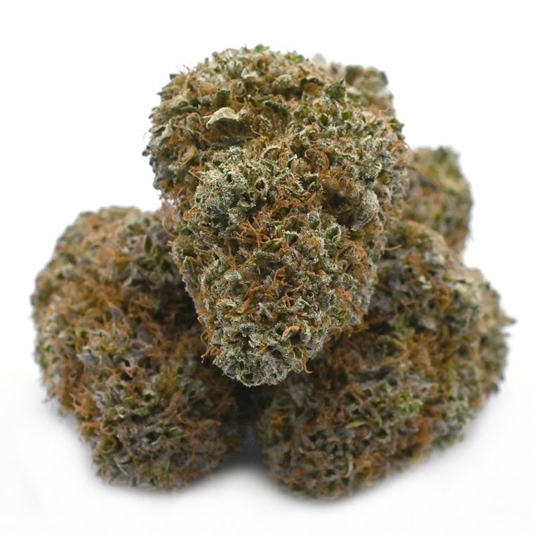 Gumbo Marijuana Strain Info & Growing Guide