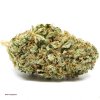 Red Congolese - Pure Sativa Strain