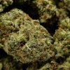Red Congolese Sativa Flower - Buy Online