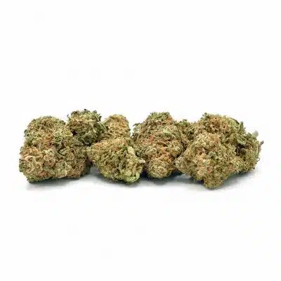 High-THC Blueberry weed buds for relaxation