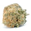Premium Nuken AAAA marijuana buds