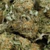 Nuken AAAA hybrid weed