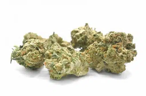 Pineapple Express Strain - sativa strain