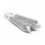 Pre Rolls-10 Regular