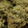 Aromatic Fruity Pebbles Marijuana