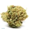 Fruity Pebbles Hybrid Weed