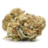 Indica-dominant Zombie Kush strain for sale