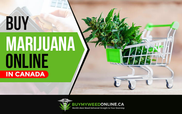 Buy Marijuana Online in Canada