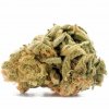 Lemon Kush - Balanced Hybrid