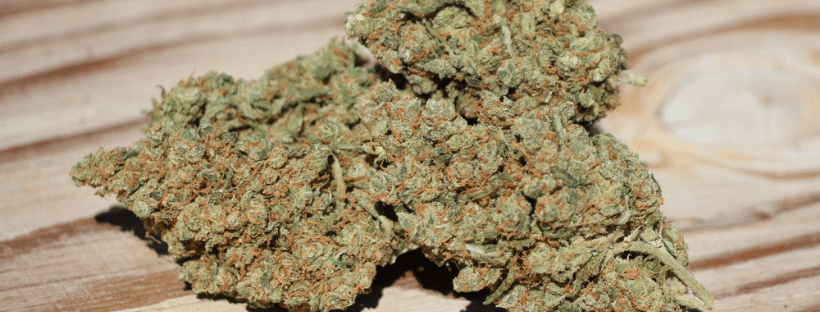 Jack Herer strain for Anxiety
