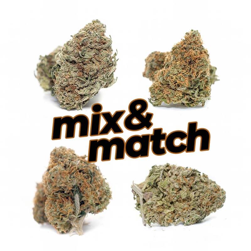 1 Ounce Mix and Match (AAA) Image