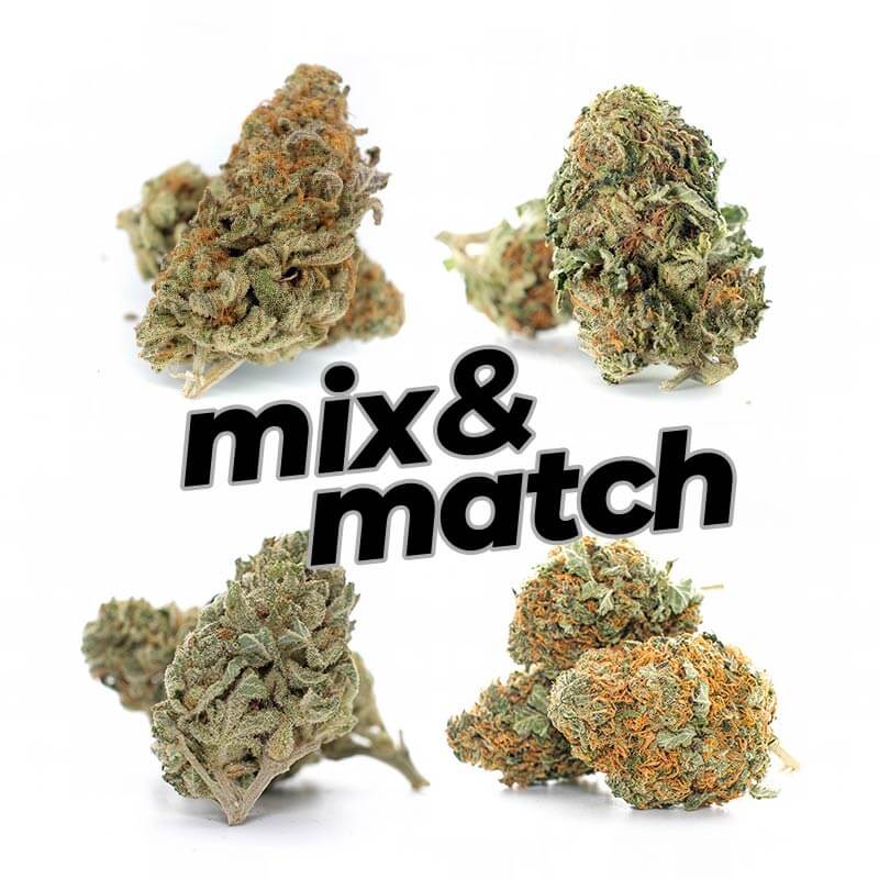 1 Ounce Mix and Match (AAAA) Image