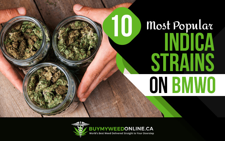 10 most popular indica strains on bmwo