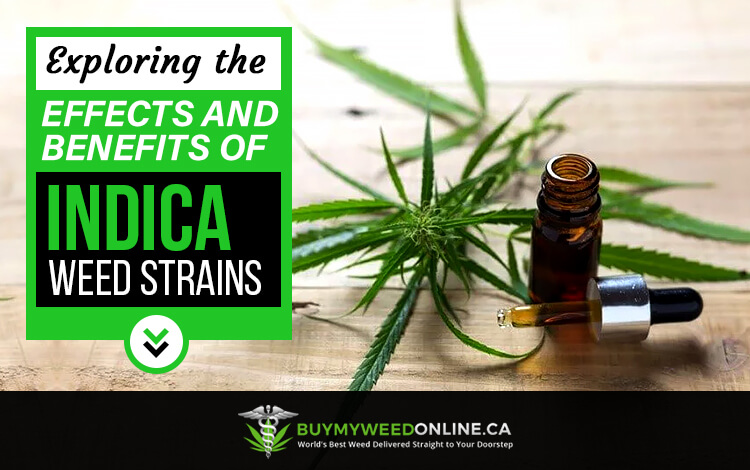 Exploring the effects and benefits of indica weed strains