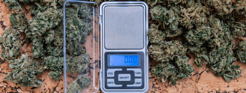 Common Measurement Units for Weighing Cannabis