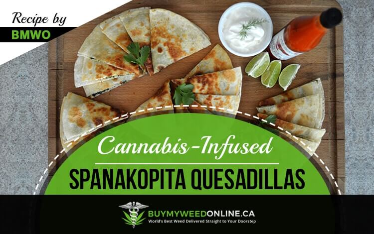 Cannabis-infused Spanakopita Quesadilla