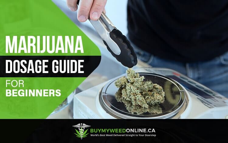marijuana dosage guide for beginners