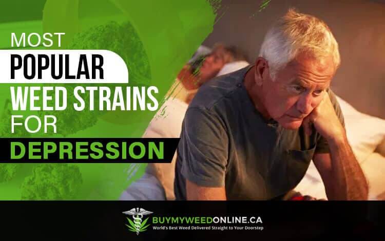 Most Popular Weed Strains for Depression
