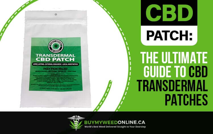 CBD Patch: The Ultimate Guide To CBD Transdermal Patches