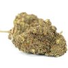 Premium Chocolate Kush Marijuana Bud