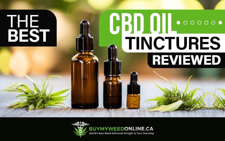 the best cbd oil tinctures reviewed