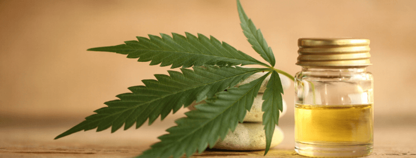 Can You Use CBD For Pets